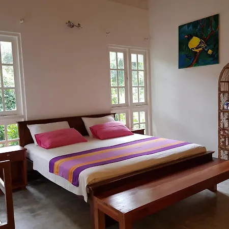 Jj Junglejoy Villa Unawatuna Extérieur photo